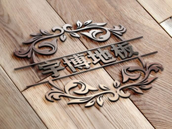 專(zhuān)注扁線(xiàn)電機(jī)自動(dòng)化生產(chǎn)設(shè)備 ...